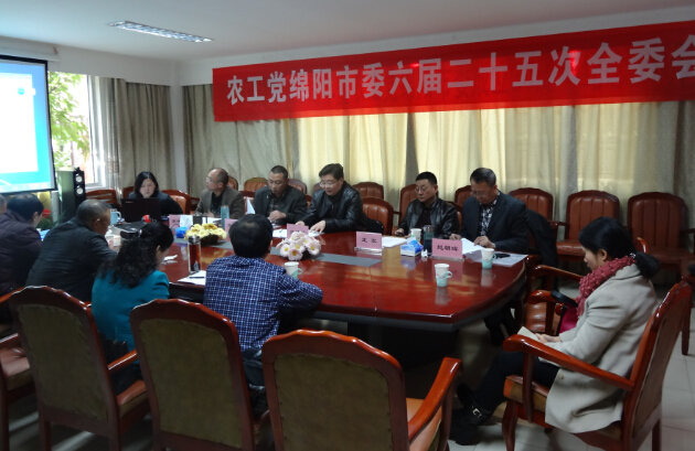 六届二十五次全委会.jpg