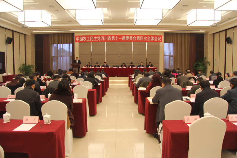 中国农工民主党四川省十一届四次全委会在蓉召开.JPG