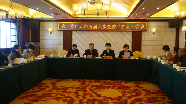农工党广元市委召开五届六次全委（扩大）会议.JPG