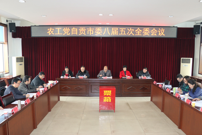 20170301农工党自贡市委八届五次全委会议IMG_2330.JPG