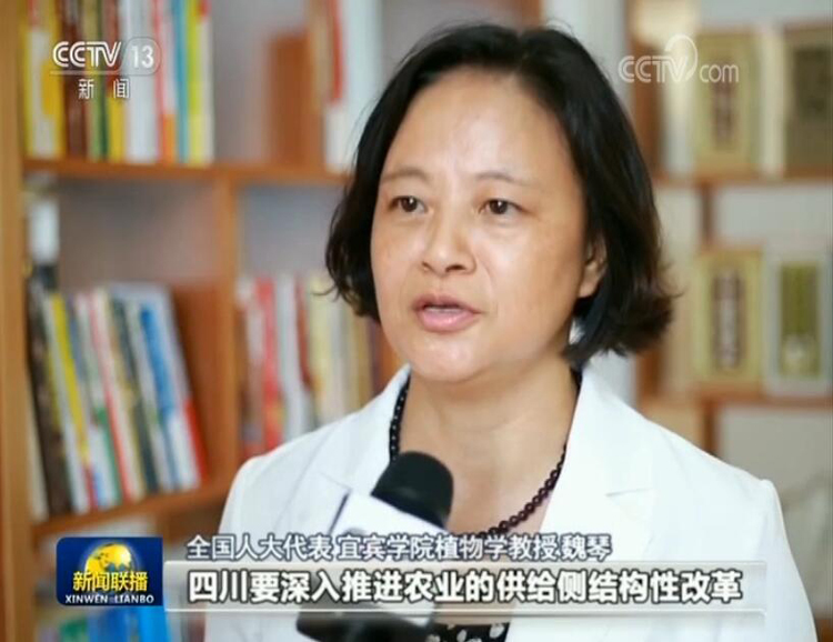 魏琴接受央视记者采访.jpg
