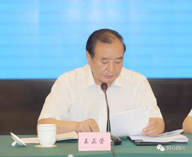 王正荣发言.jpg