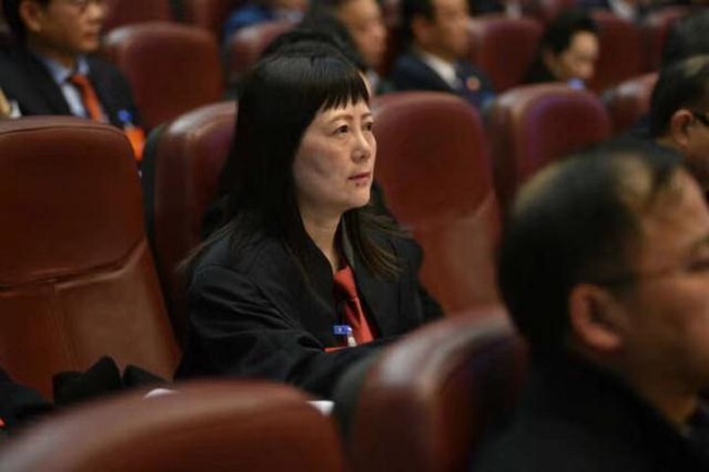 省政协委员、四川博绅律师事务所主任李凊.jpg