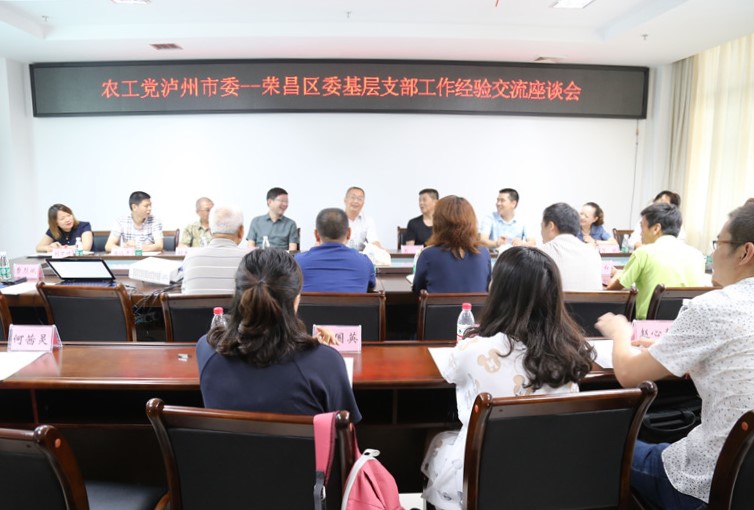 农工党泸州市委会驻会副主委卢赐恩（中）发言.jpg