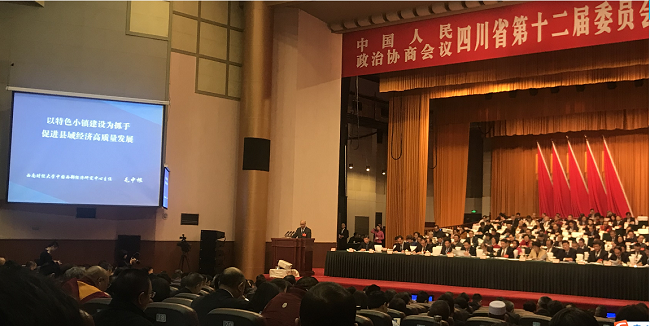 2019年1月15日，四川省政协委员、农工党西南财经大学支部主委、西南财经大学中国西部经济研究中心主任毛中根在四川省政协十二届二次会议上代表经济界别作了题为《以特色小镇建设为抓手 促进县域经济高质量发展》的大会发言。.jpg