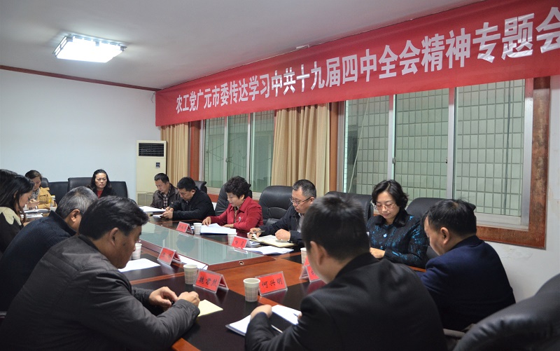 800农工党广元市委传达学习中共十九届四中全会精神.jpg