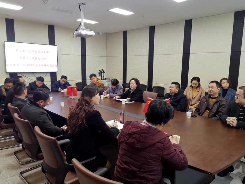 800 农工党广元市委直属司法支部、市第二人民医院支部召开学习中共十九届四中全会精神专题会.jpg