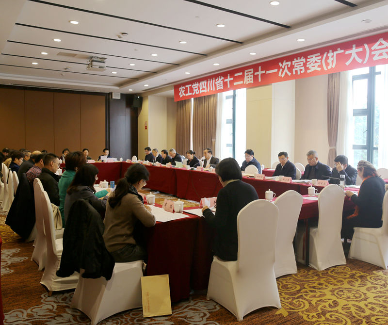 800常委会.jpg