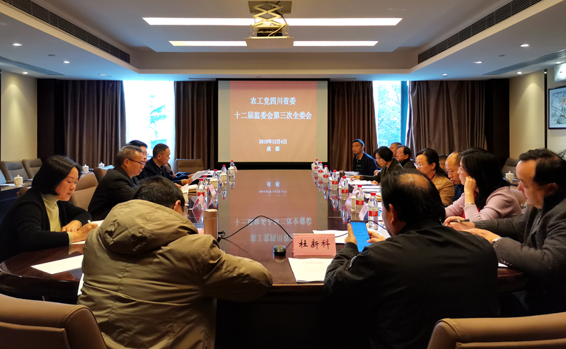 1省委监督委员会第三次全委会.jpg
