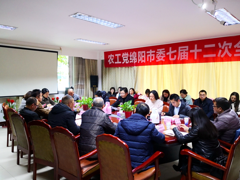 农工党绵阳市委召开七届十二次全委（扩大）会800.jpg