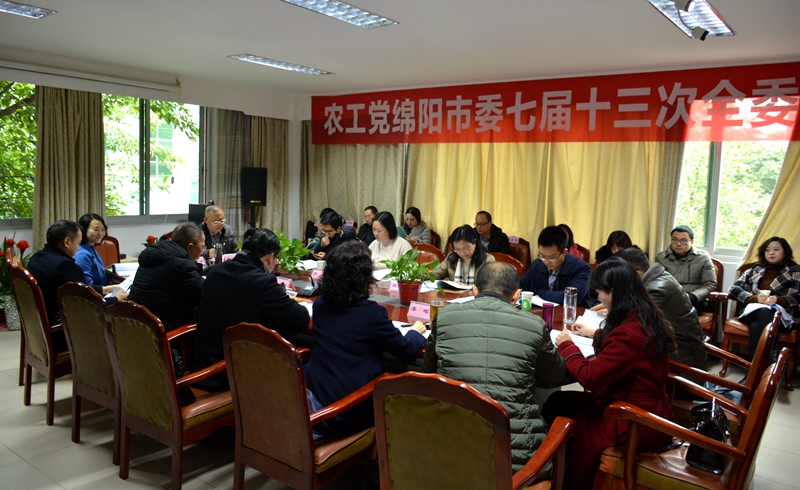 农工党绵阳市委召开七届十三次全委（扩大）会800.jpg