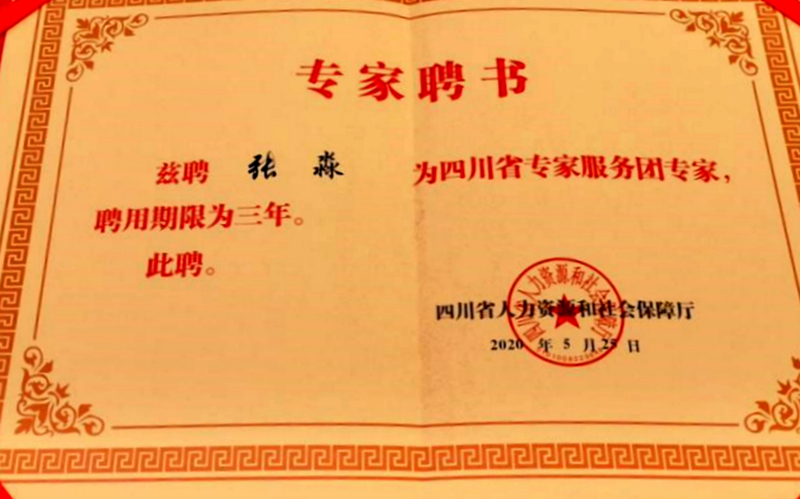 农工党成都市文教支部副主委张淼被聘请为成渝地区双城经济圈建设专家服务团专家2.jpg