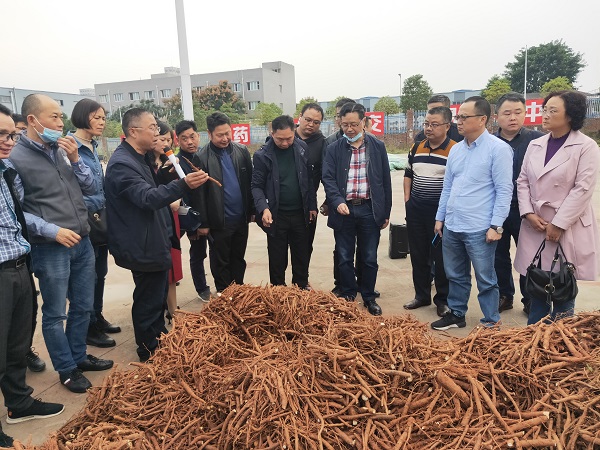 调研2.jpg