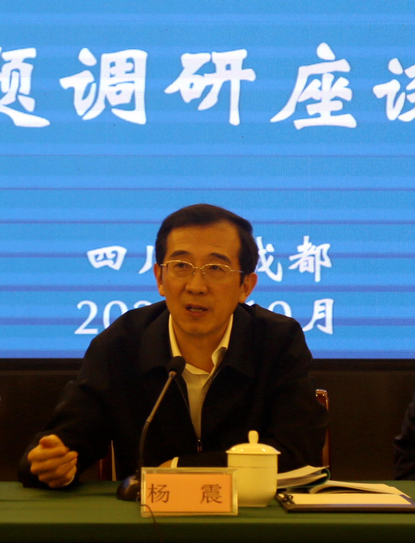 杨震副主席.jpg