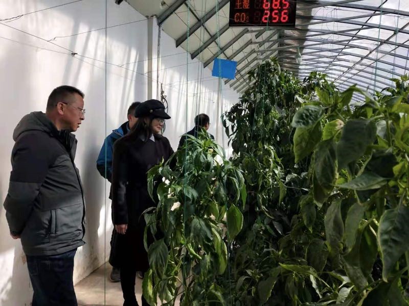 梁方（左二）参观园区.jpg