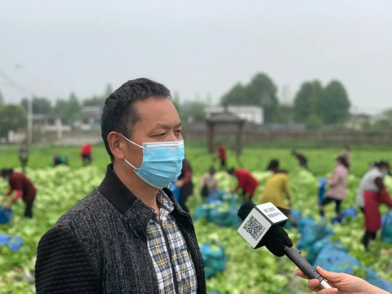 蒯世军在现场接受采访_副本.jpg